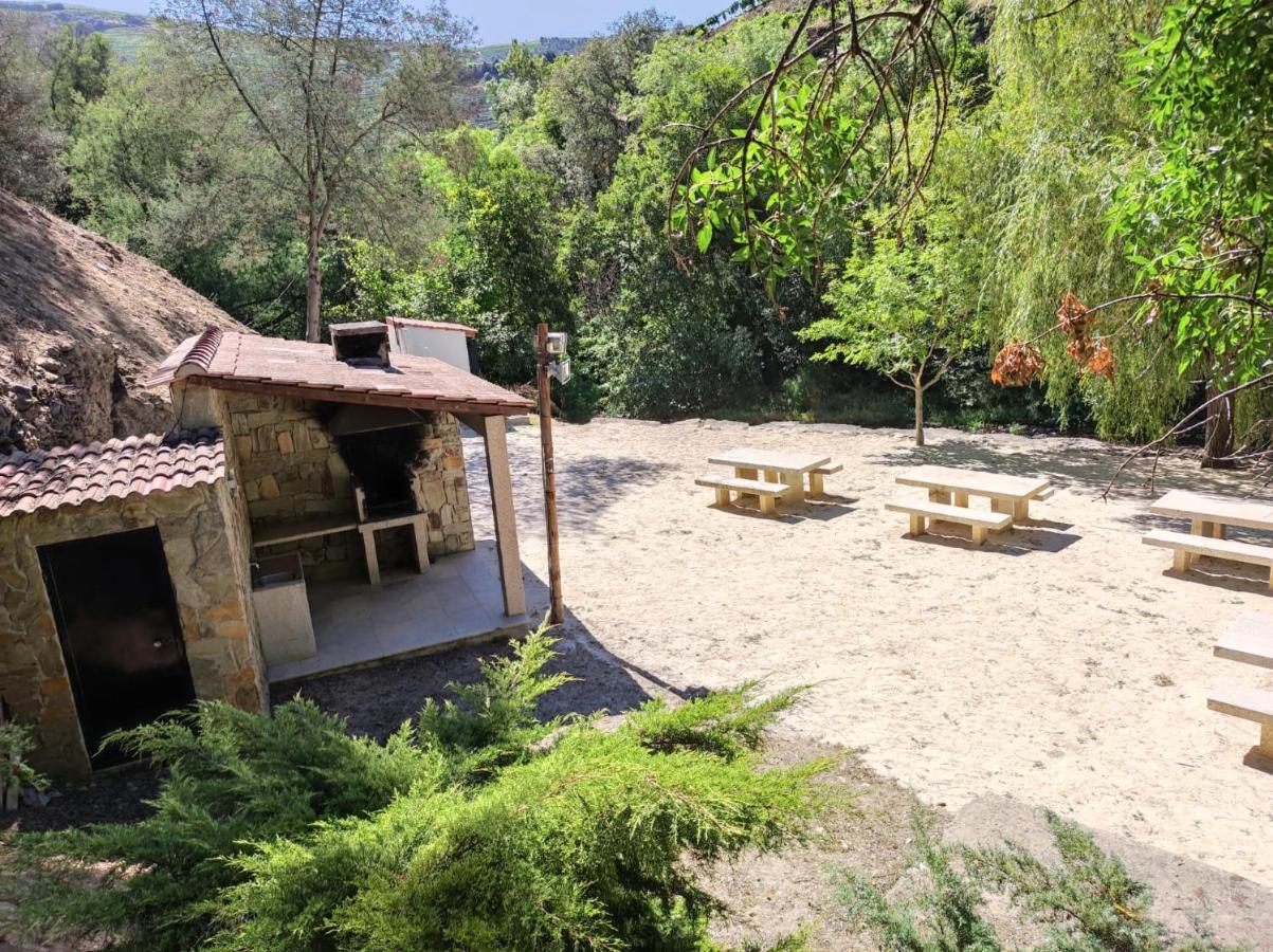 Casa Quinta Da Nogueira Villa Pinhão Exteriör bild